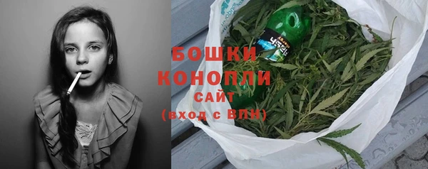 крисы Осташков