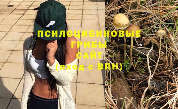 МДПВ Остров