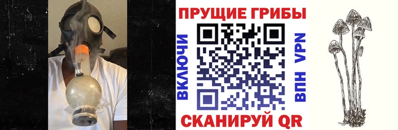 Галлюциногенные грибы Magic Shrooms хочу Безенчук